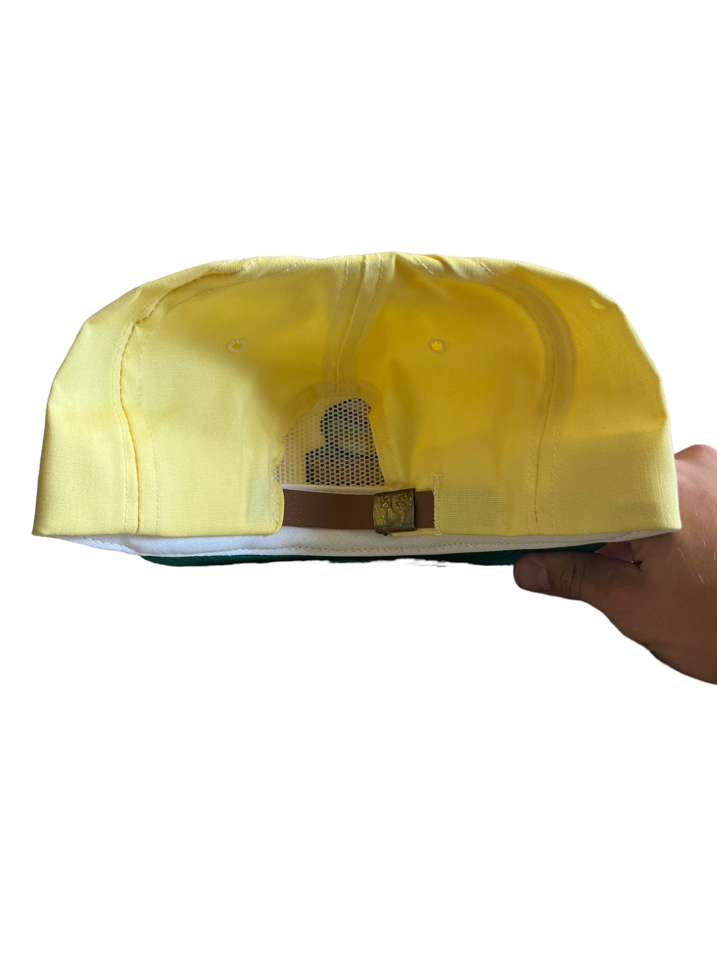 Vintage Shenandoah Crossing Golf Snapback Hat Brand New