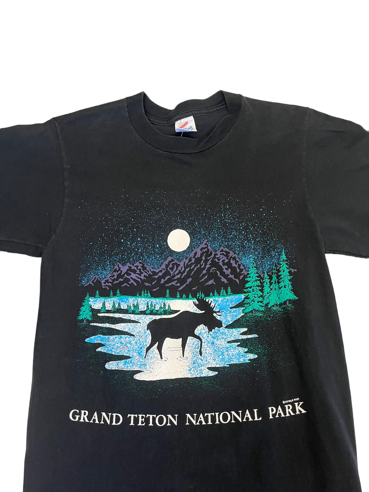 (S/M) 1990 Grand Teton National Park Tee