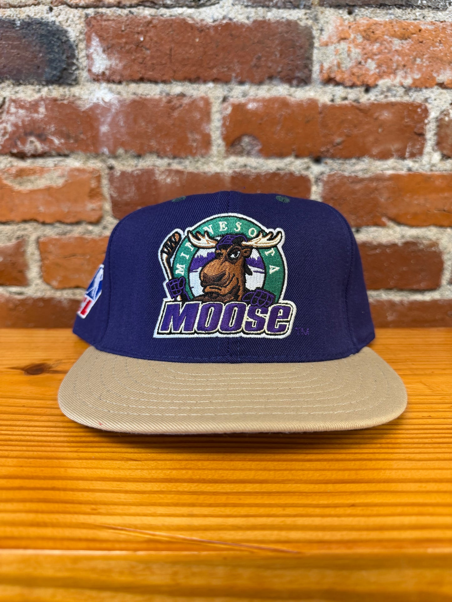 Vintage Minnesota Moose Hat - NEW