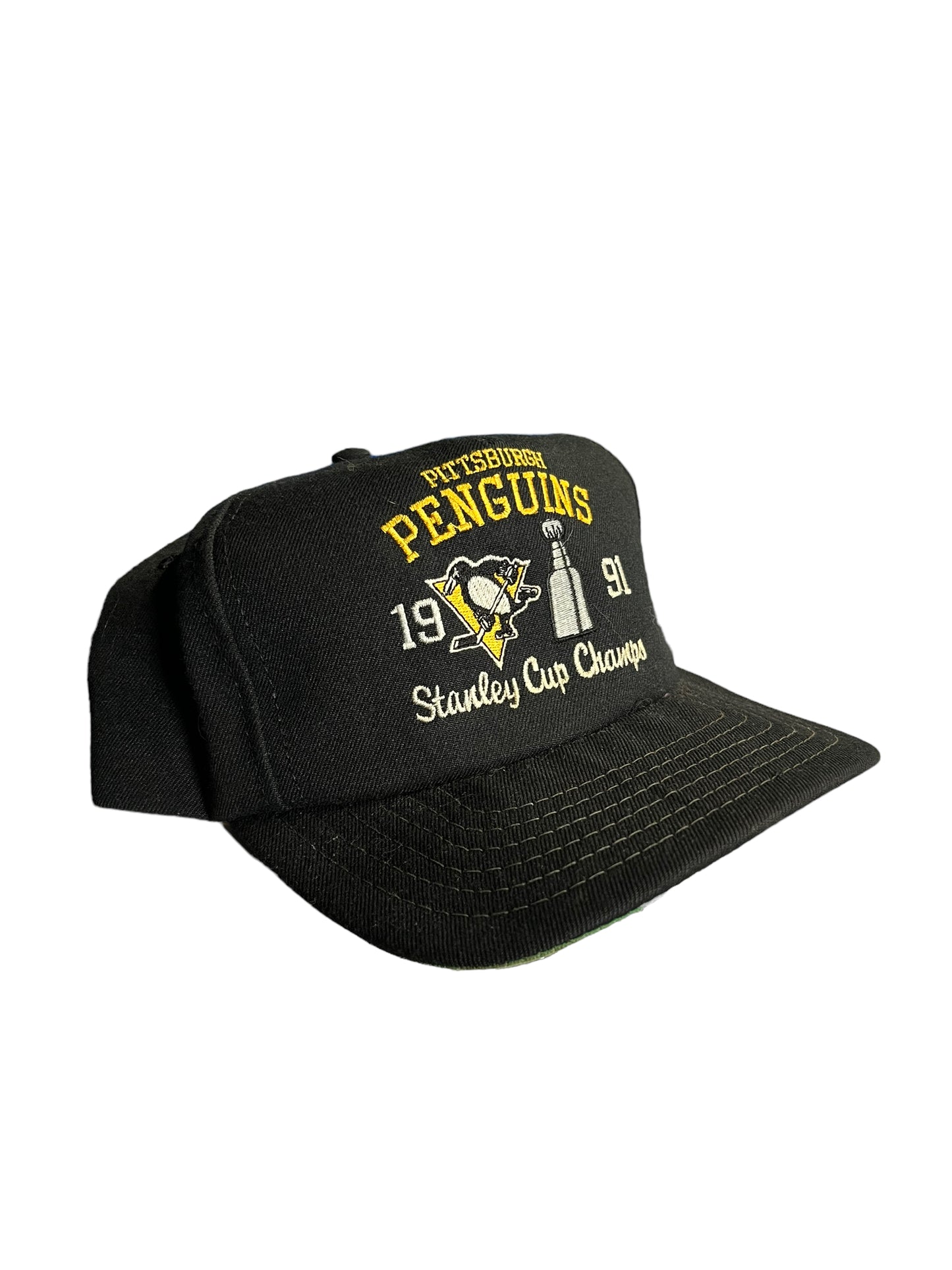 Vintage Penguins Snapback Hat