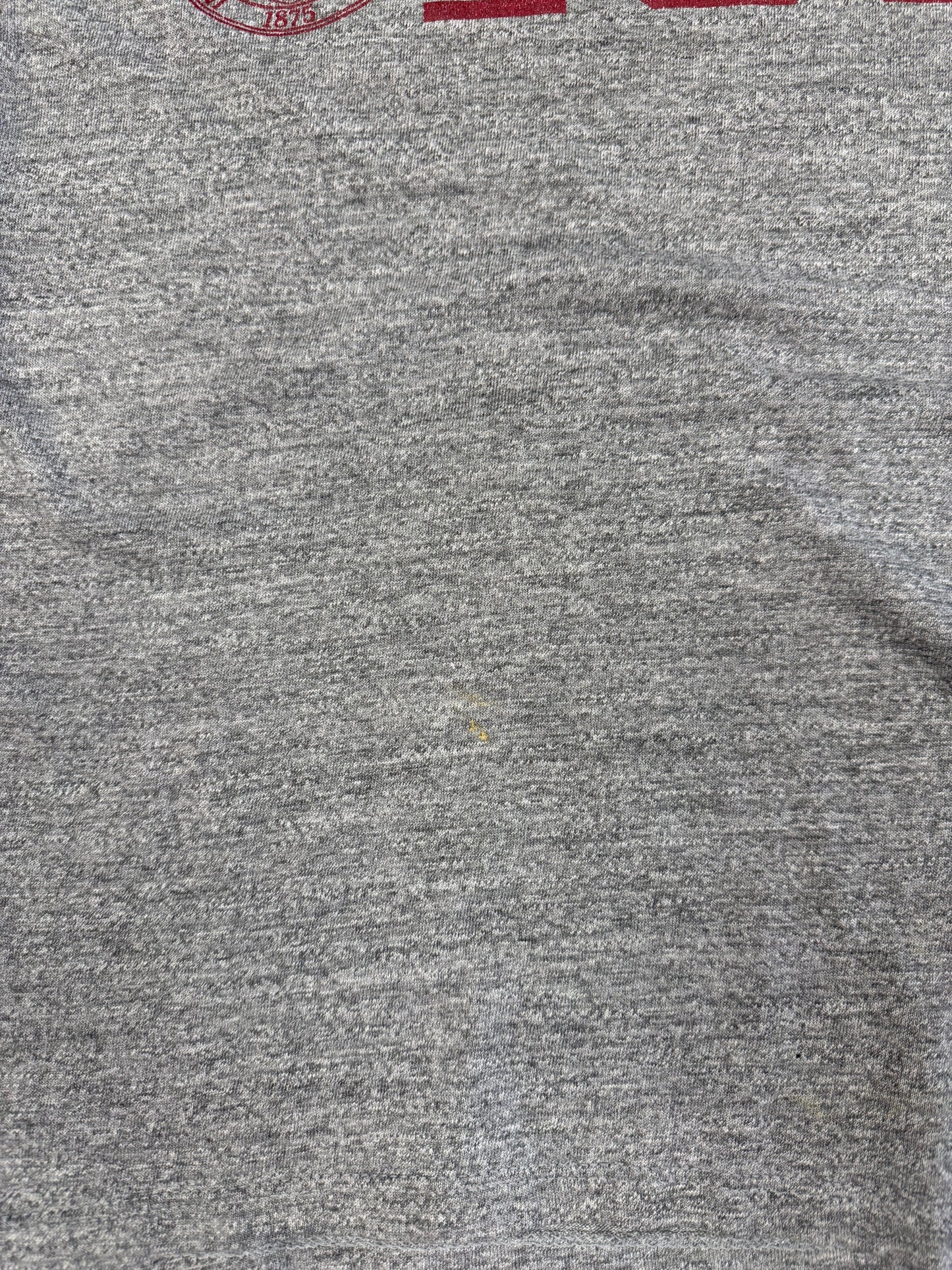 (M) Vintage 80’s IUP Graphic Tee