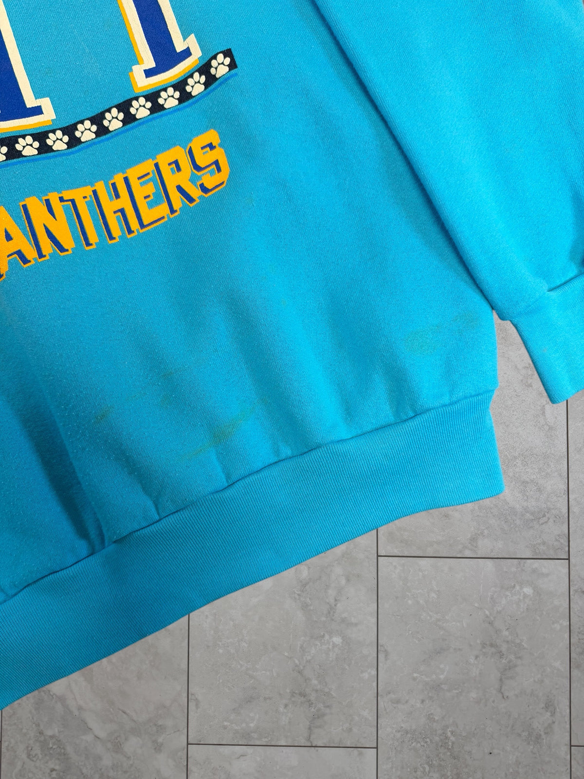 (L) Vintage 90's University of Pittsburgh Graphic Crewneck