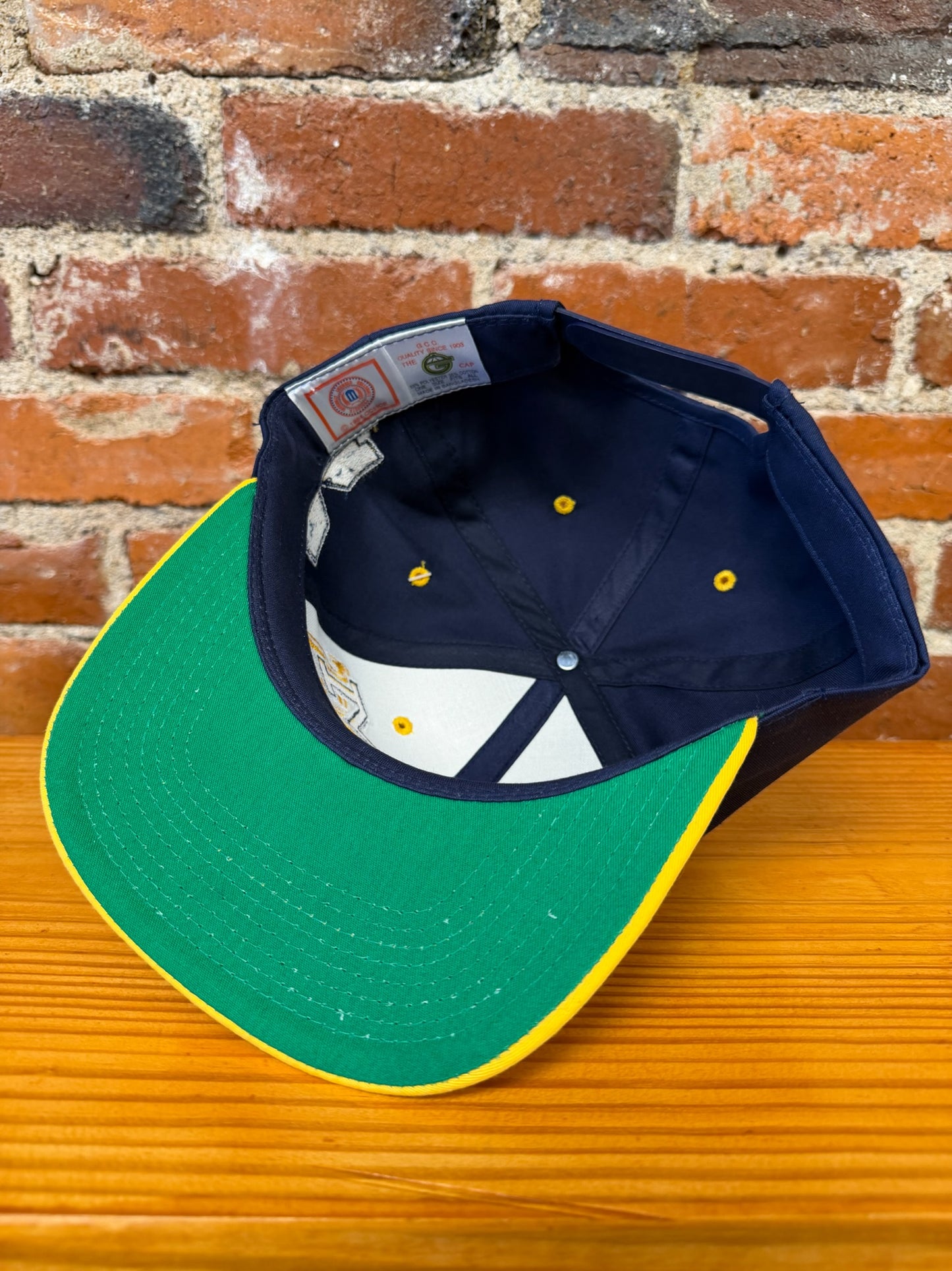 Vintage Michigan Wolverines Hat - NEW