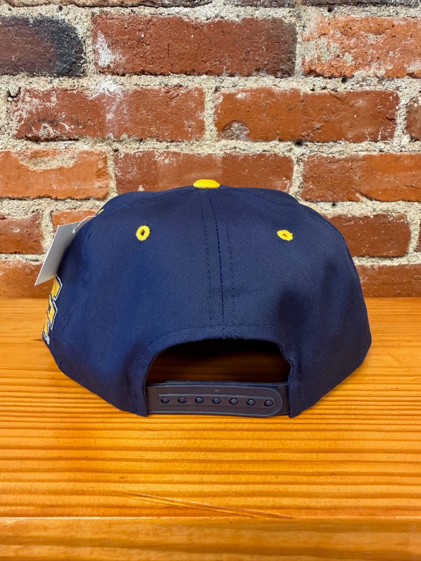 Vintage Michigan Wolverines Hat - NEW