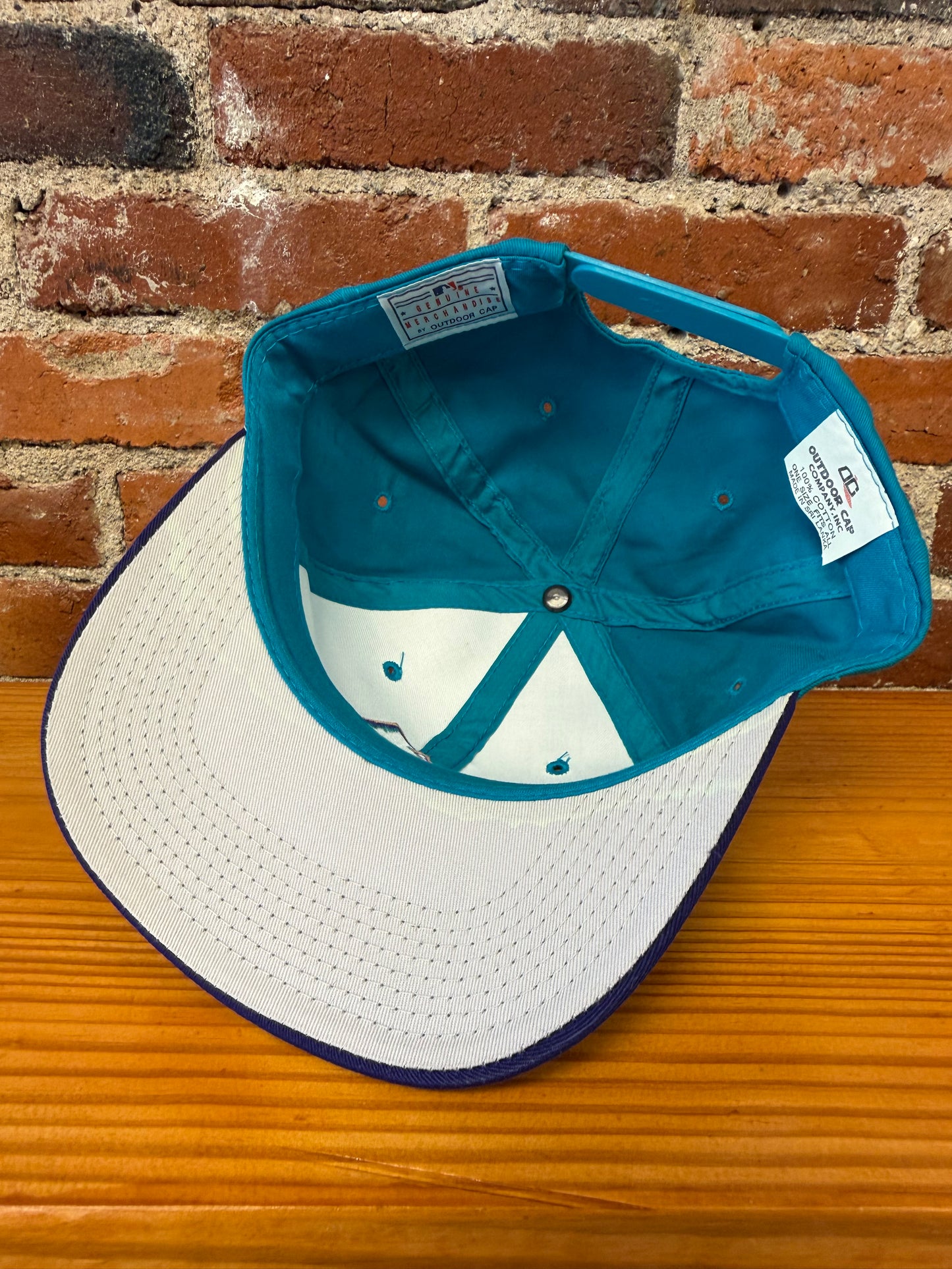 Vintage Arizona Diamond Backs Hat