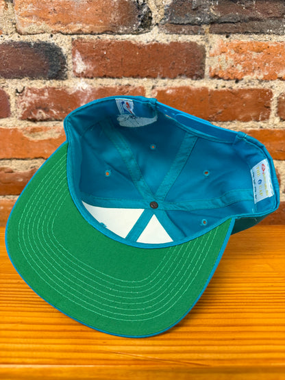 Vintage Charlotte Hornets Hat - NEW