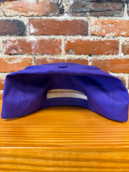 Vintage Minnesota Vikings Hat - NEW