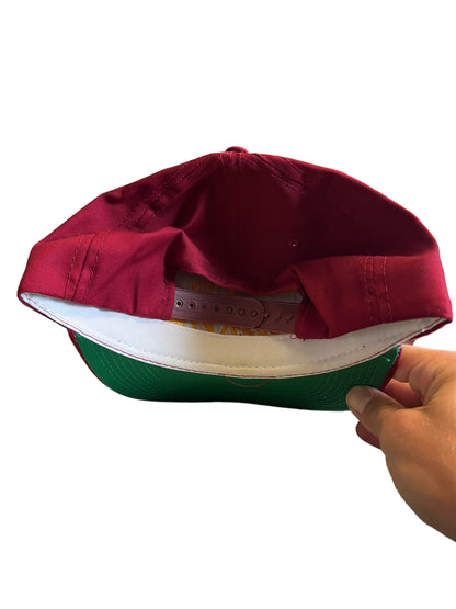 Vintage Washington Redskins Script SnapBack Hat