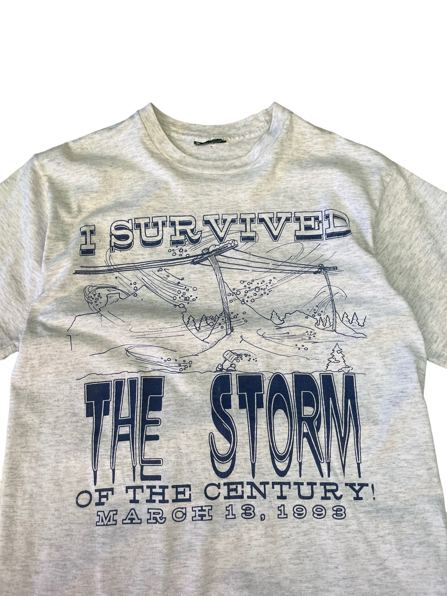 (S) 1993 I survived the storm of the century tee