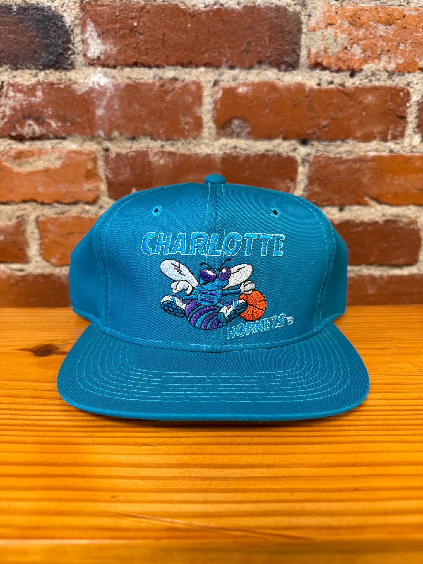 Vintage Charlotte Hornets Hat - NEW