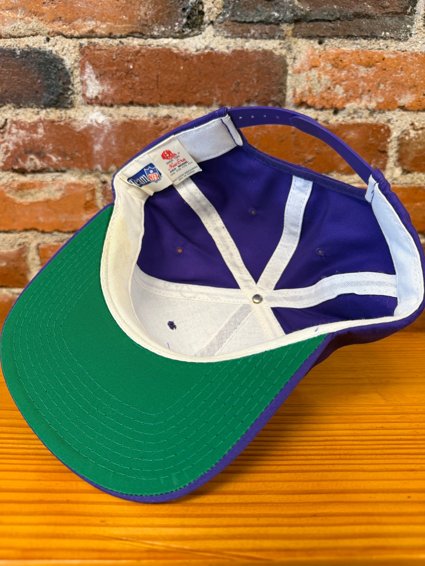 Vintage Minnesota Vikings Hat - NEW