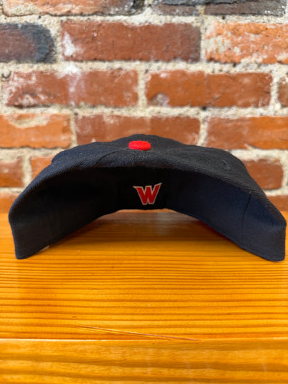 Vintage Washington Wild Things Fitted Hat 7 5/8  - NEW
