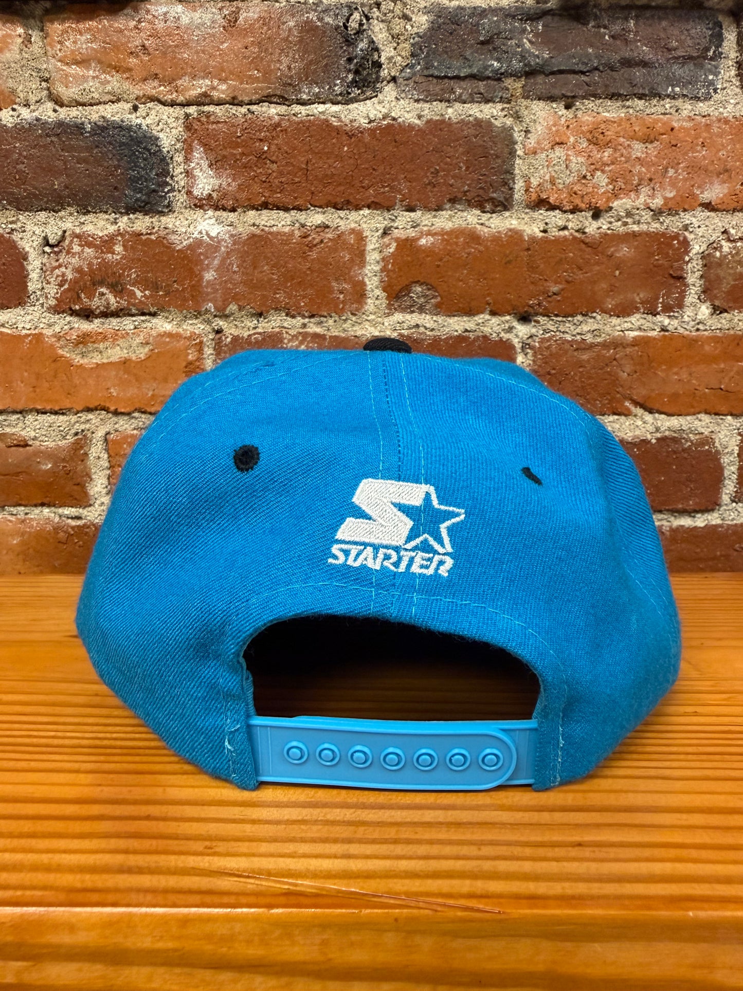 Vintage Carolina Panthers Starter Snapback Hat