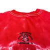(L) Vintage Harley Davidson Tiedye Tee