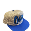 Vintage Ohio Hat